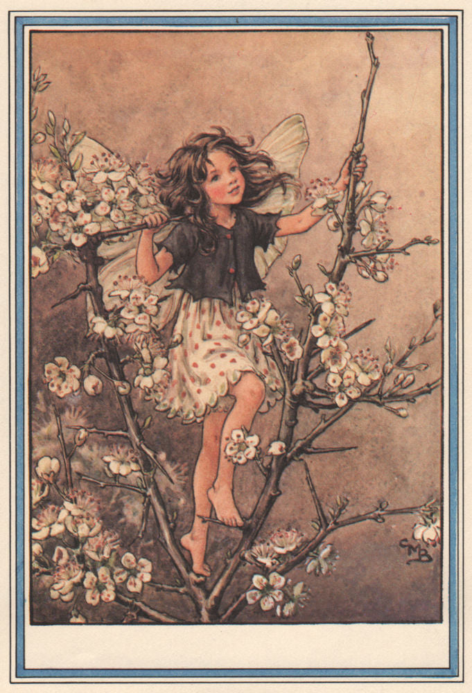 Blackthorn Fairy by Cicely Mary Barker. Winter Flower Fairies 1985 old print